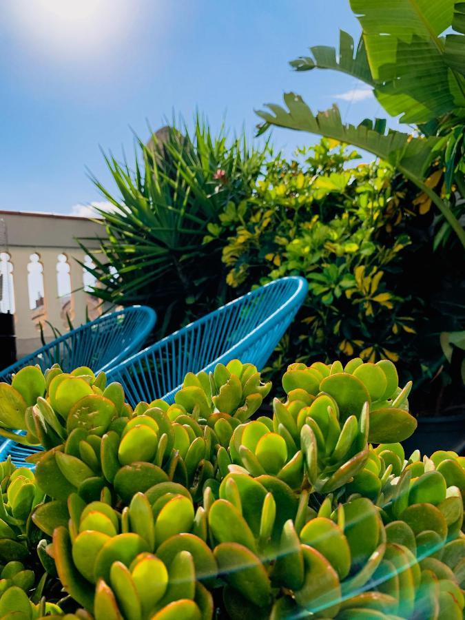 Incredible 2Br Penthouse With Urban Rooftop Garden Barcelona Eksteriør bilde